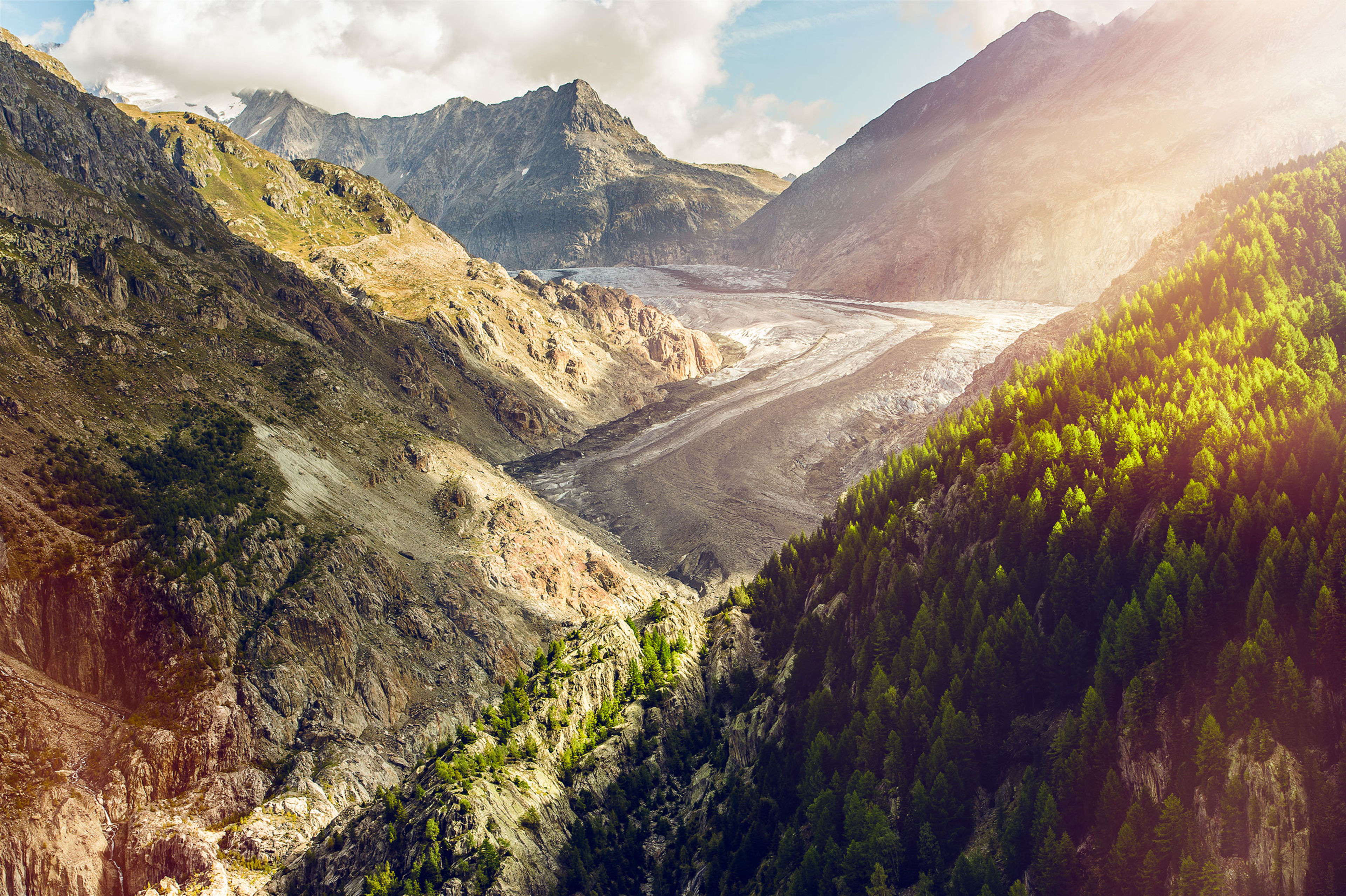Aletsch Glacier with north side of the Eggishorn, Aletsch Arena, Valais