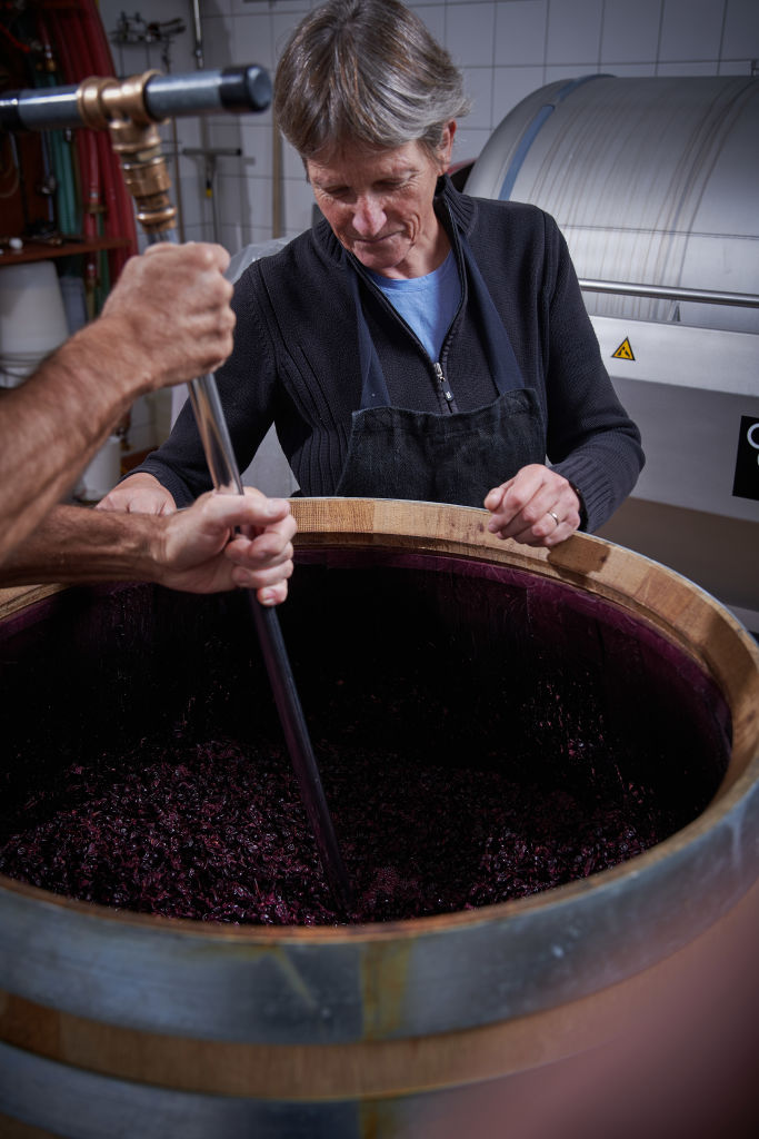 Das ganze Weingut wird nach den Grundsät¬zen der Integrierten Pro¬duktion bewirtschaftet, Wallis, Schweiz