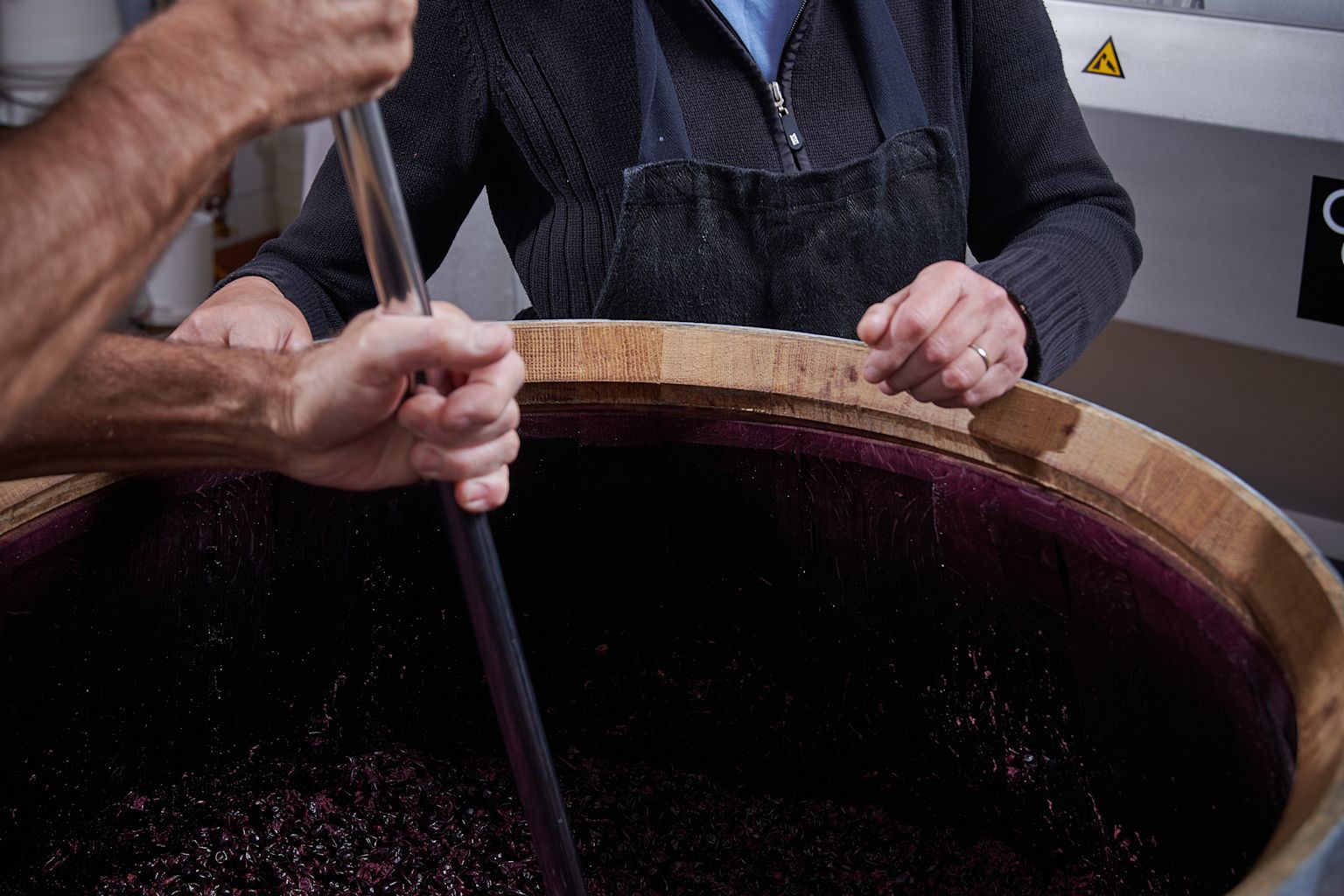 The entire vineyard is managed according to the principles of integrated production, Valais, Switzerland.