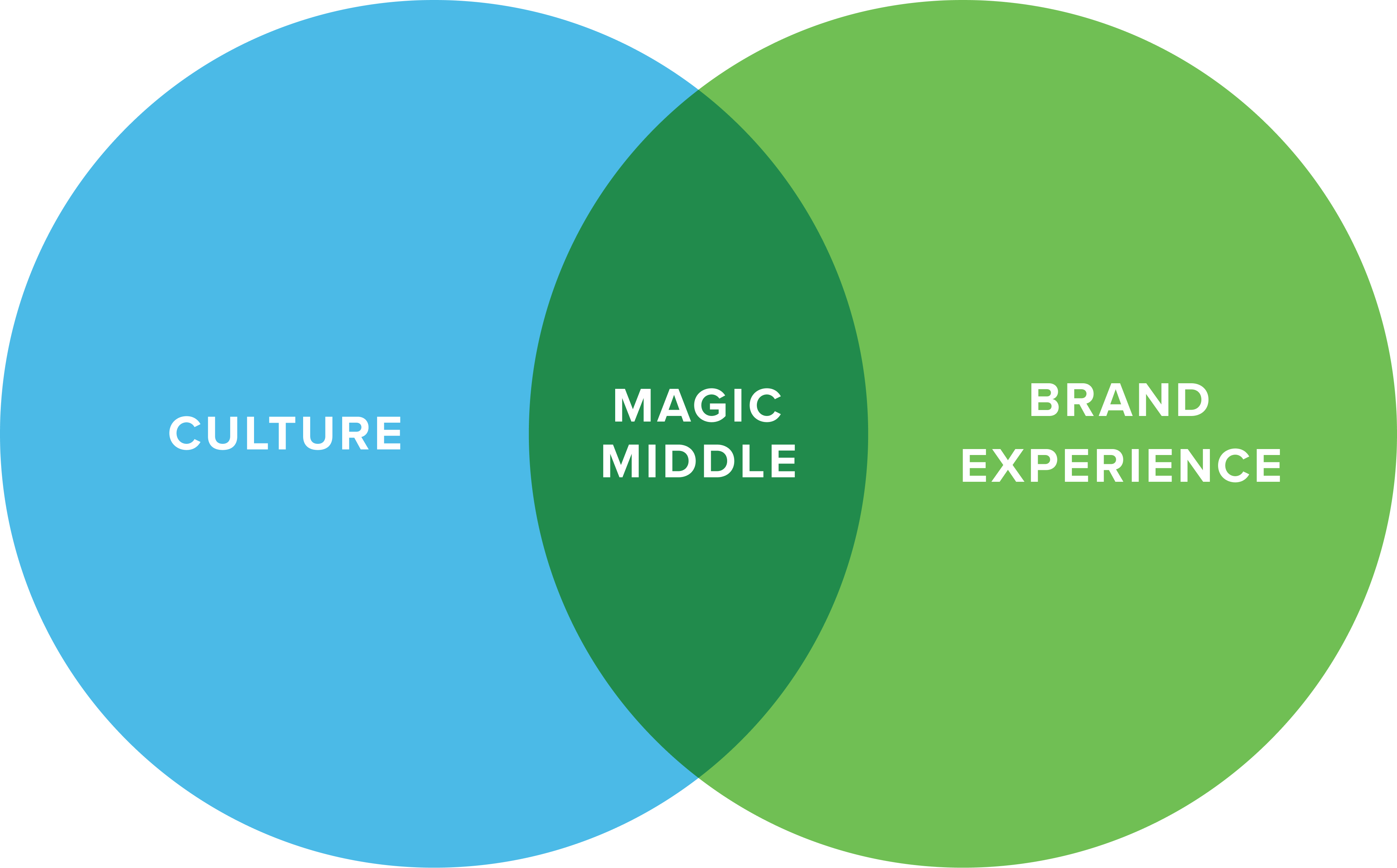 Venn diagram - Sally Mildren