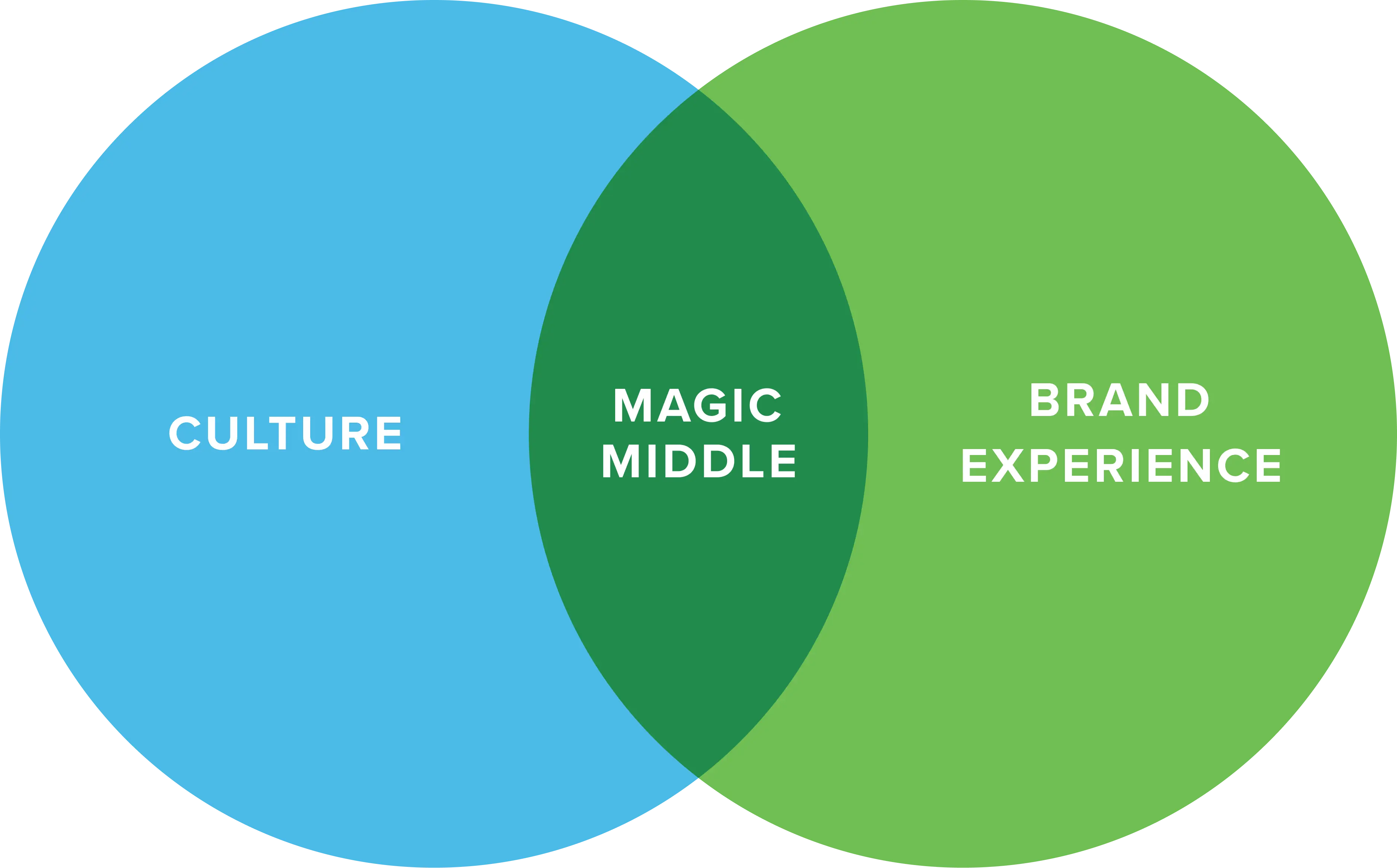 Venn diagram - Sally Mildren