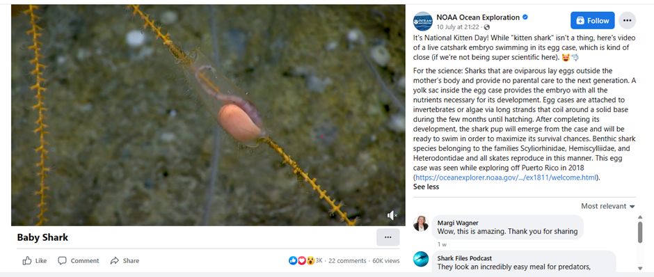 A social post by NOAA Ocean Exploration with a video description below the main post caption