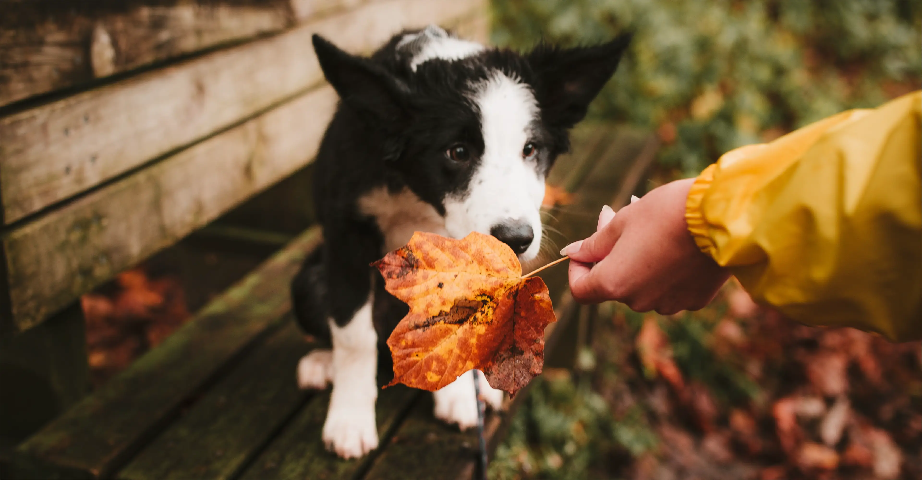 Announcing Sprinklr’s Fall Product Release: 400+ new Features to Boost Productivity