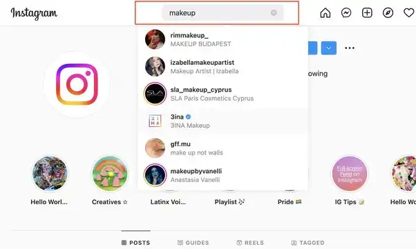 Instagram-s built-in search function