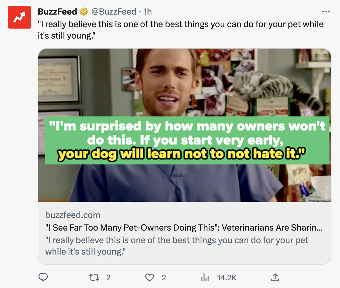 A Twitter post by Buzzfeed sharing an article to increase traffic to their website