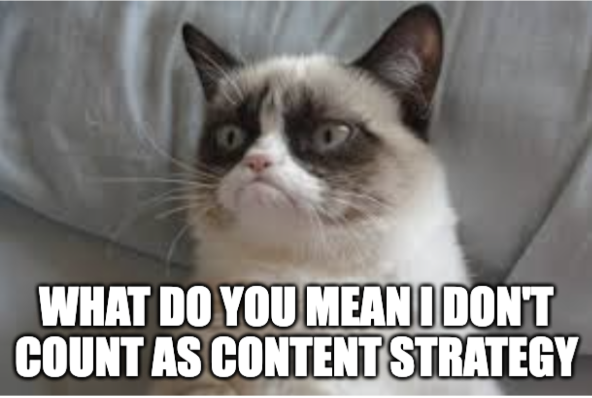 A social media content strategy cat meme