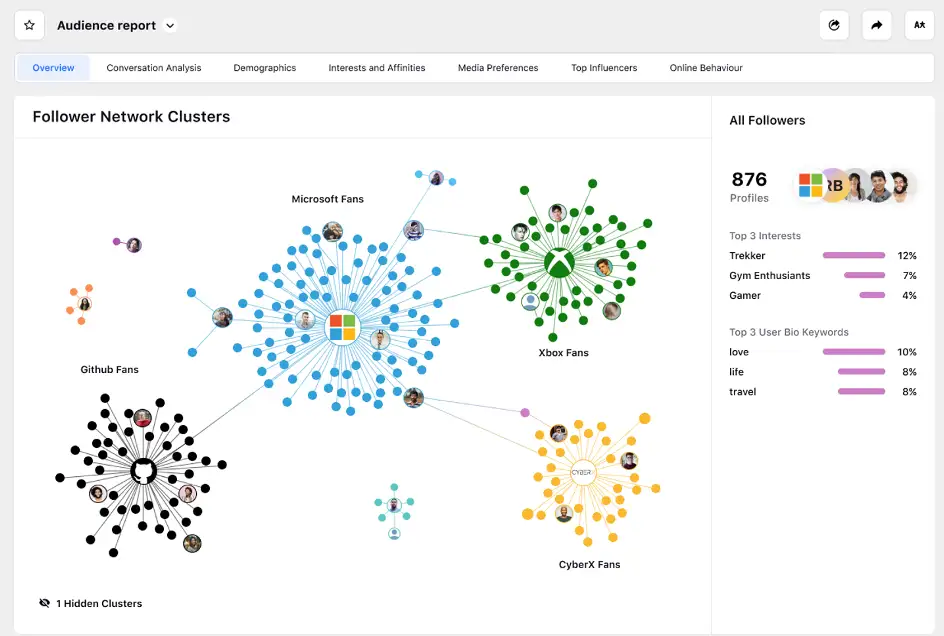 Audience Insights report in Sprinklr