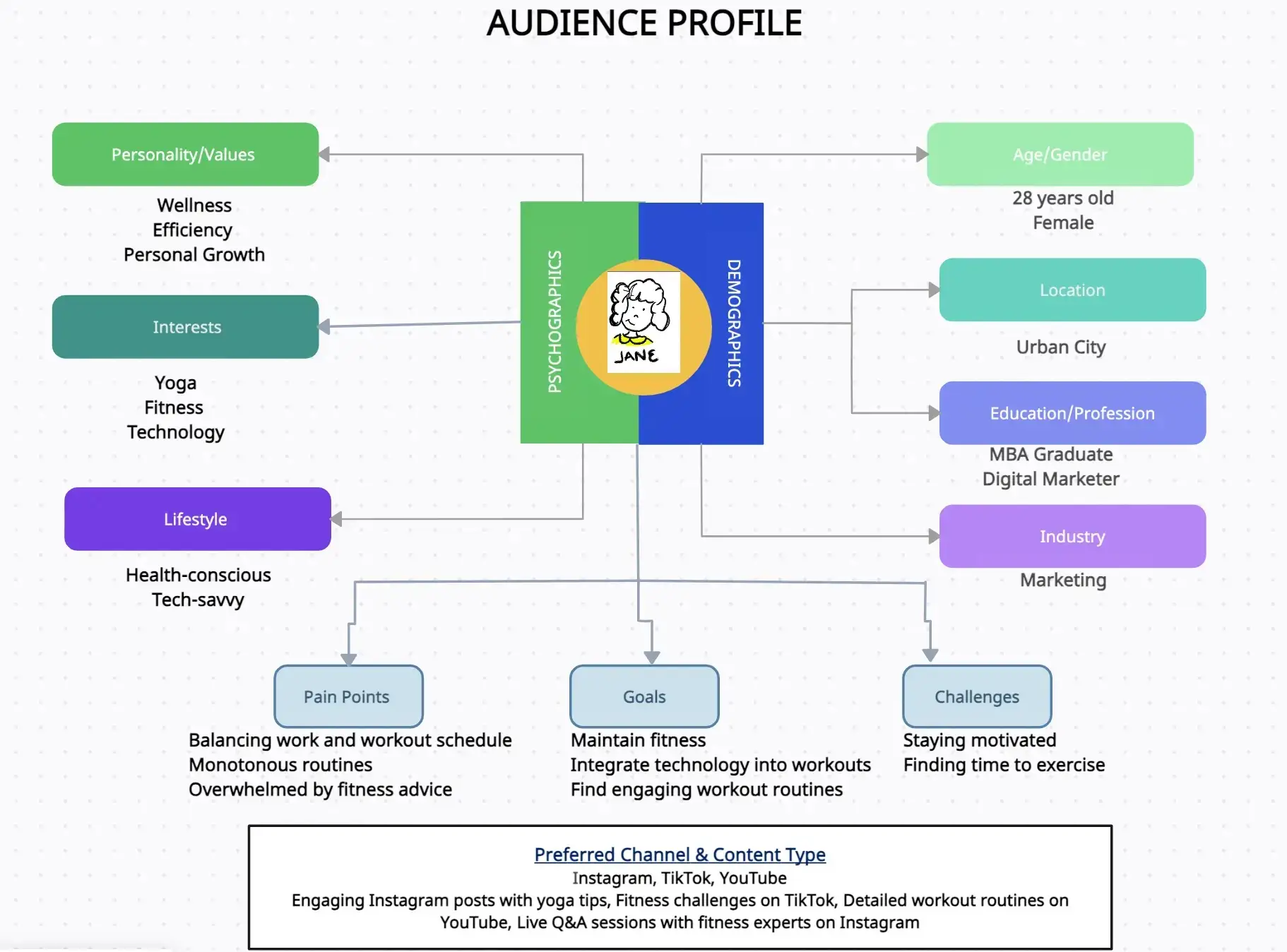 Audience profile example