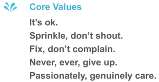 Sprinklr-s core brand values