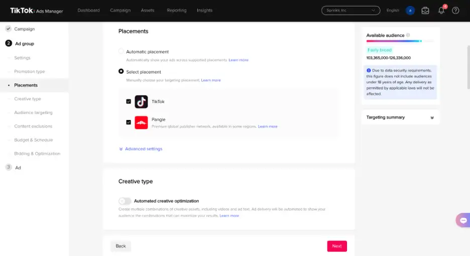choose your ad placements