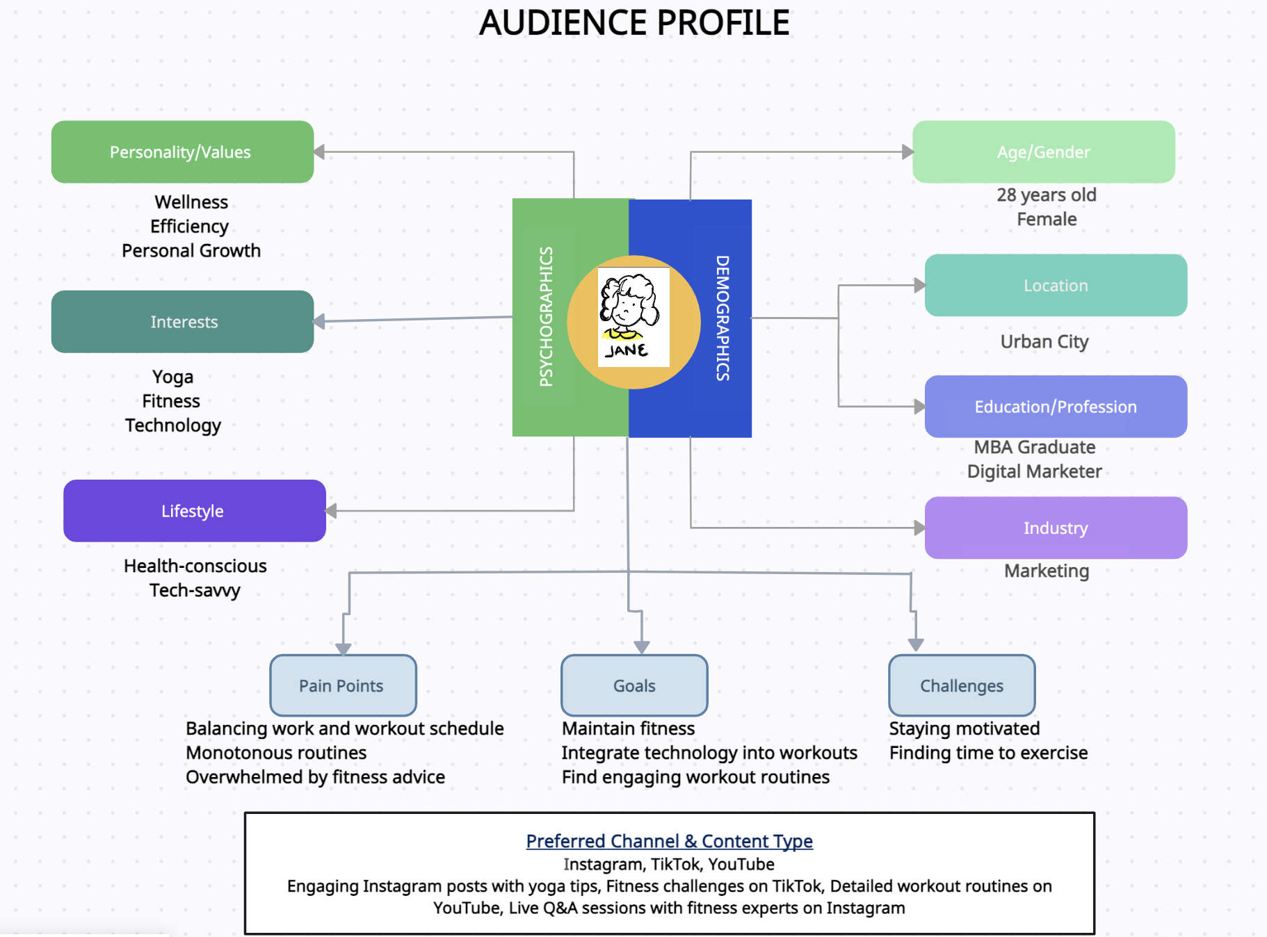 Audience Profile example