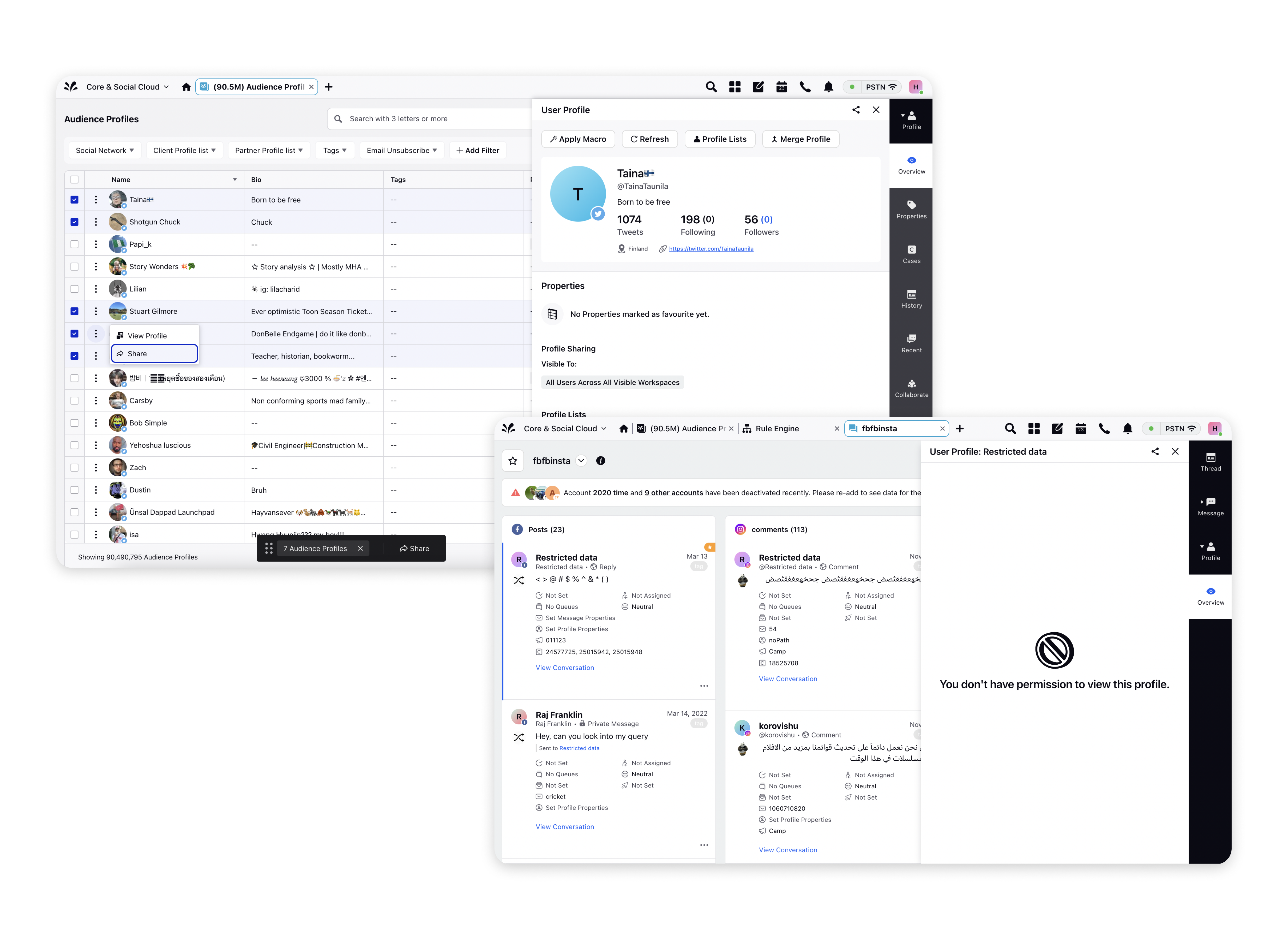 Audience Profile Governance