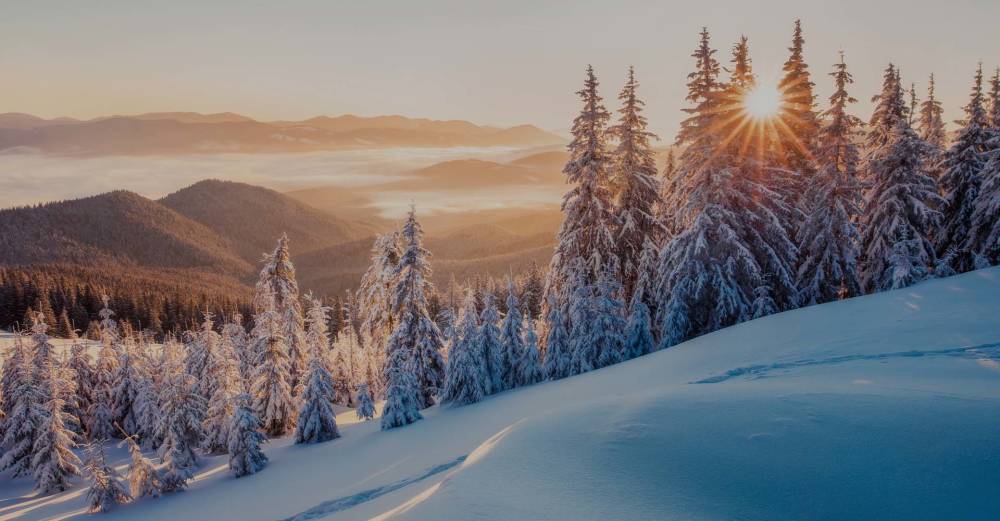 Announcing Sprinklr’s Winter 2020 Release: Delivering Over 400 New Capabilities Focused on Improving Productivity and User Experience