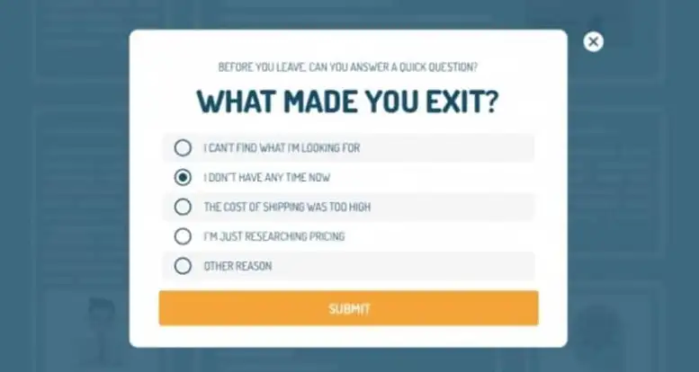 Title: Inserting image... - Description: Exit-intent surveys help understand why customers leave your site or app.