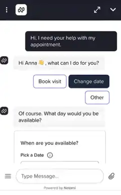 AI chatbot on Netomi