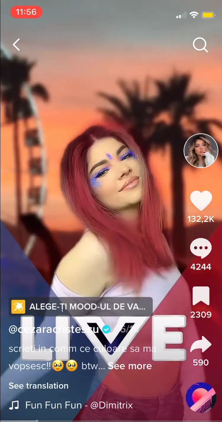 Schwarzkopf's product promotion incorporating AR filters on TikTok.