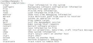 Juniper HealthCheck Script