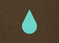 What Is the Proper Response to God’s Grace?