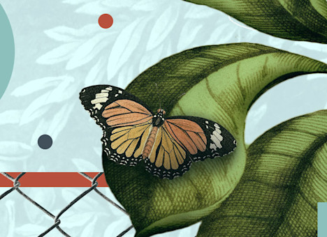 The Reformed Doctrine of General Revelation by Keith Mathison