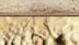 The Danger of False Doctrine