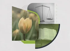 New to Reformed Theology