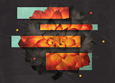 3 Things You Should Know about Malachi