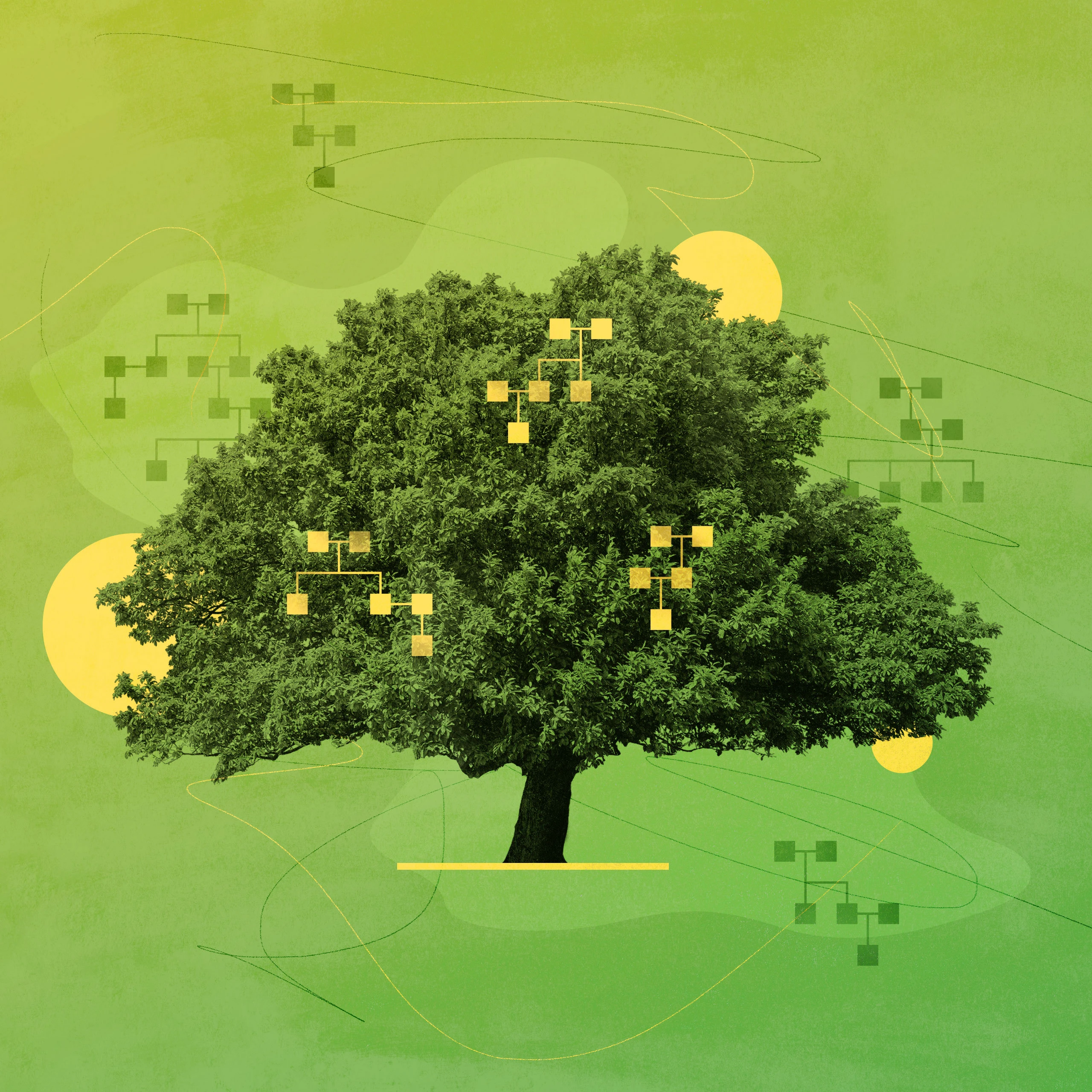 Who Was Cain’s Wife?