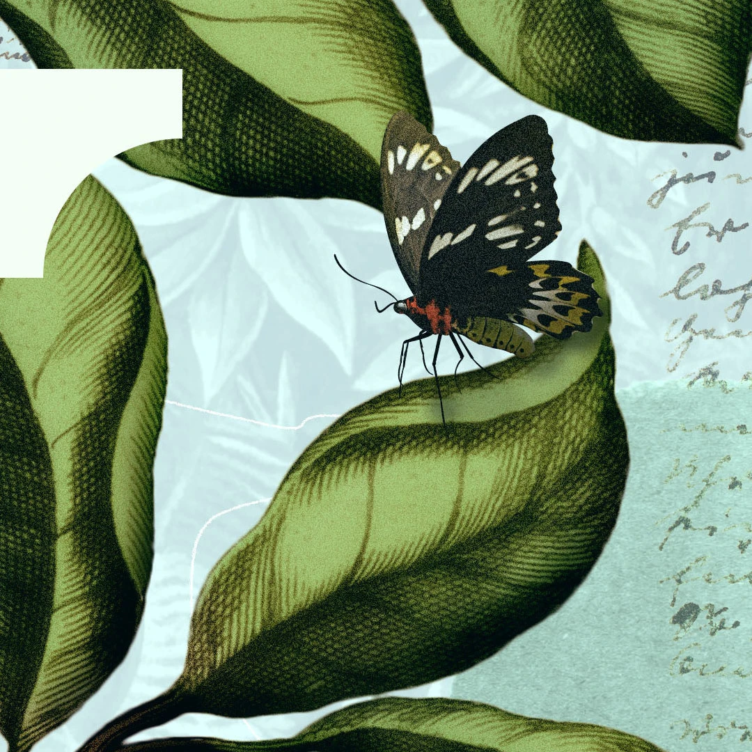 Regeneration: The Most Significant Beginning