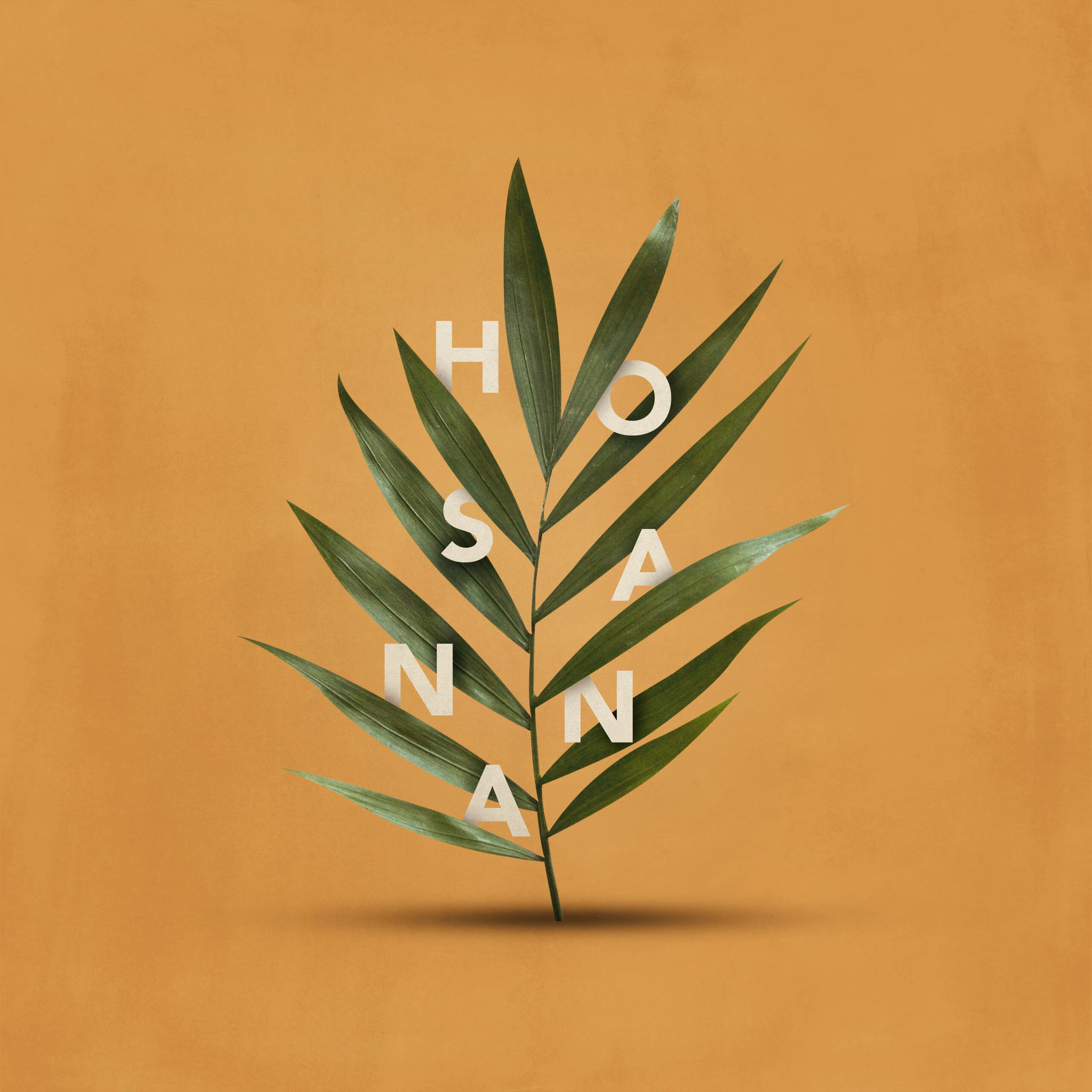 What “Hosanna” Means in the Bible