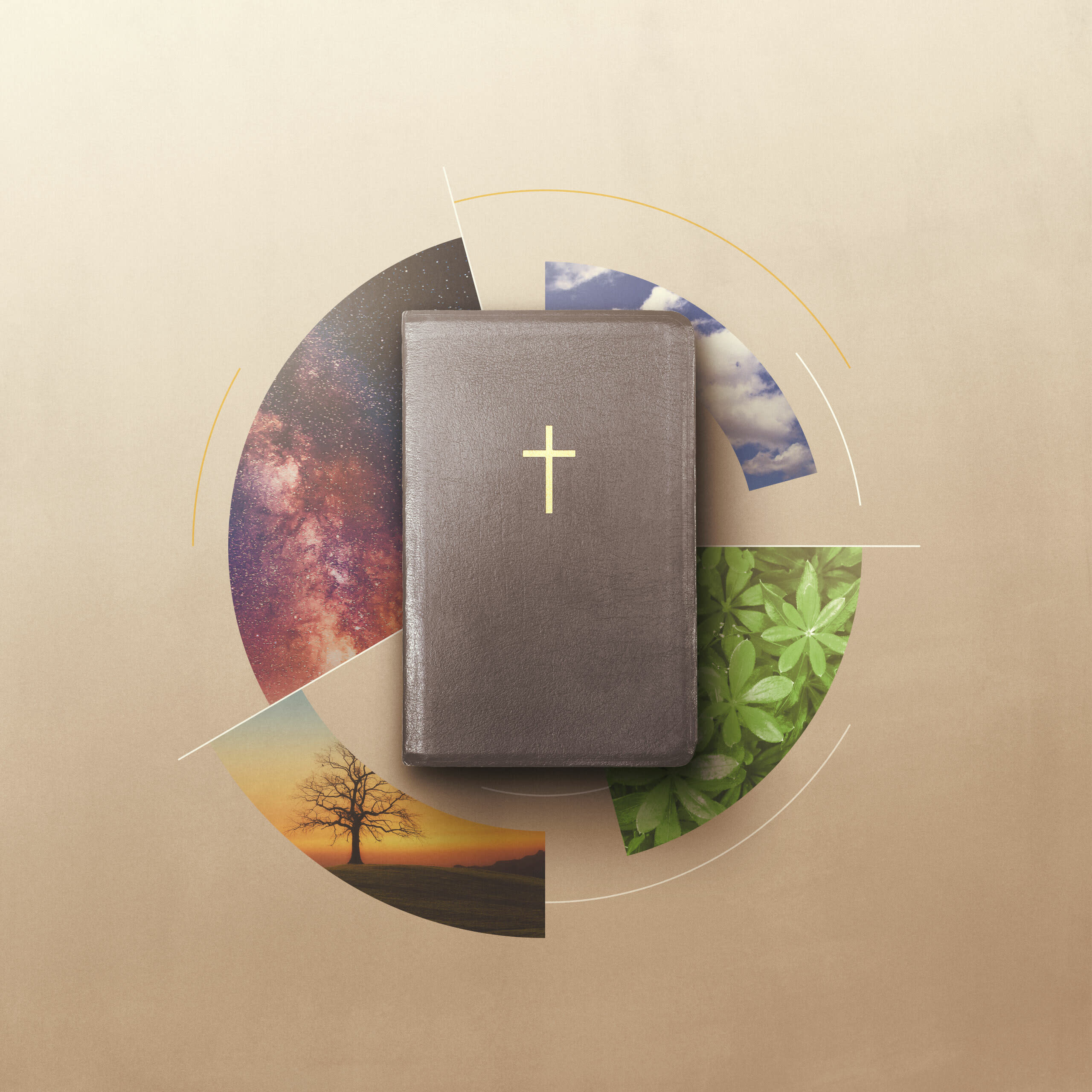 What Do Christians Believe About Divine Revelation What do christians believe about divine revelation