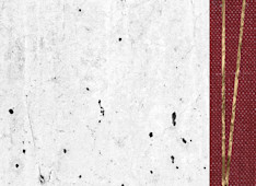 The Means of Persevering Grace