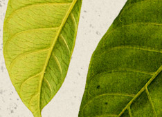 4 Reasons to Remember Your Creator in Your Youth