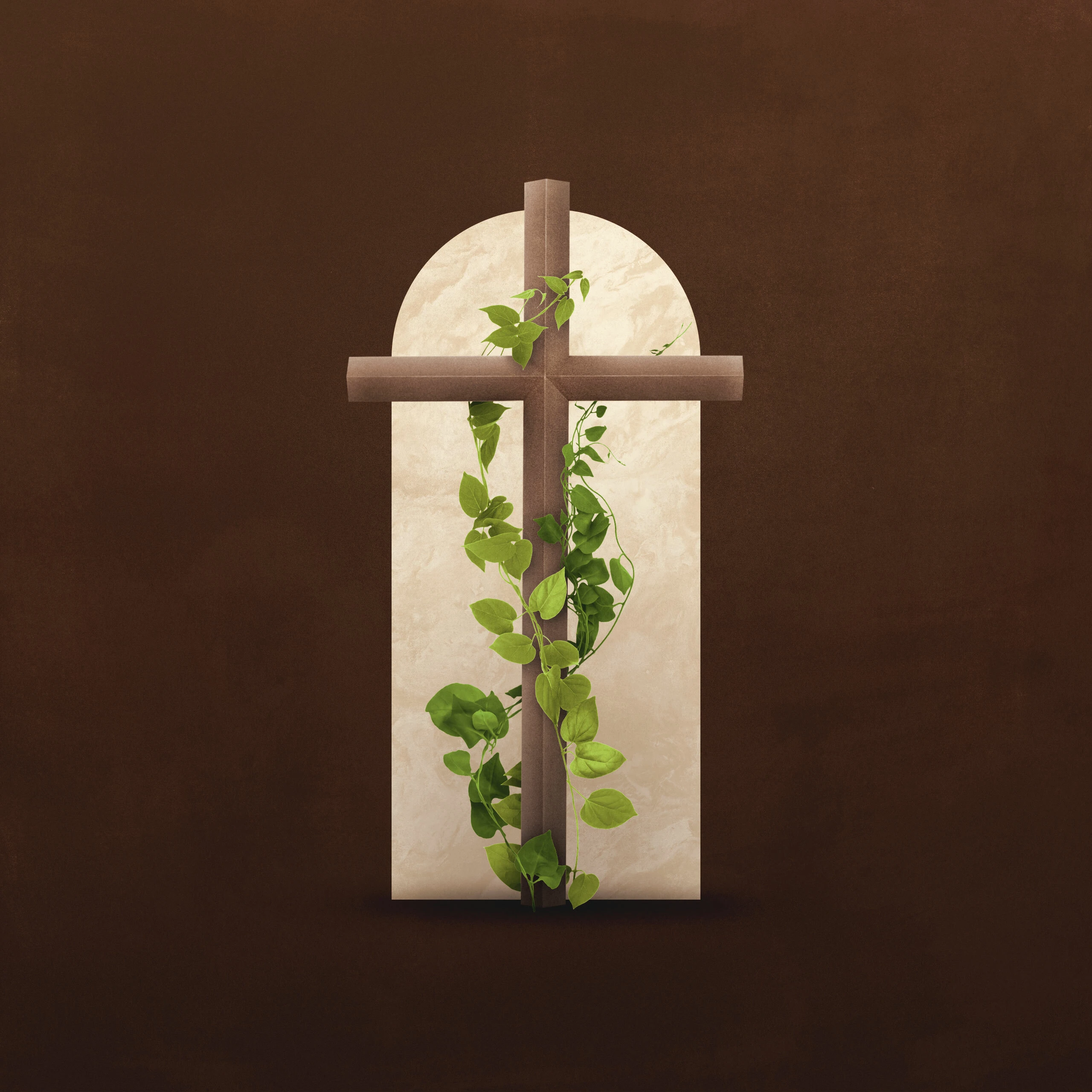 How Is Jesus the True Vine?