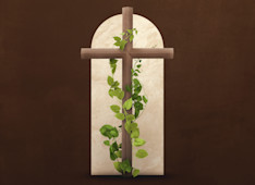 How Is Jesus the True Vine?