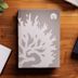 Save 50% on Study Bibles