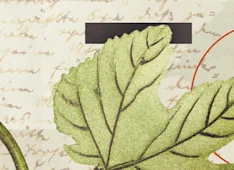 Is Scripture the Ultimate Authority?