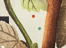 A Charitable Reaction