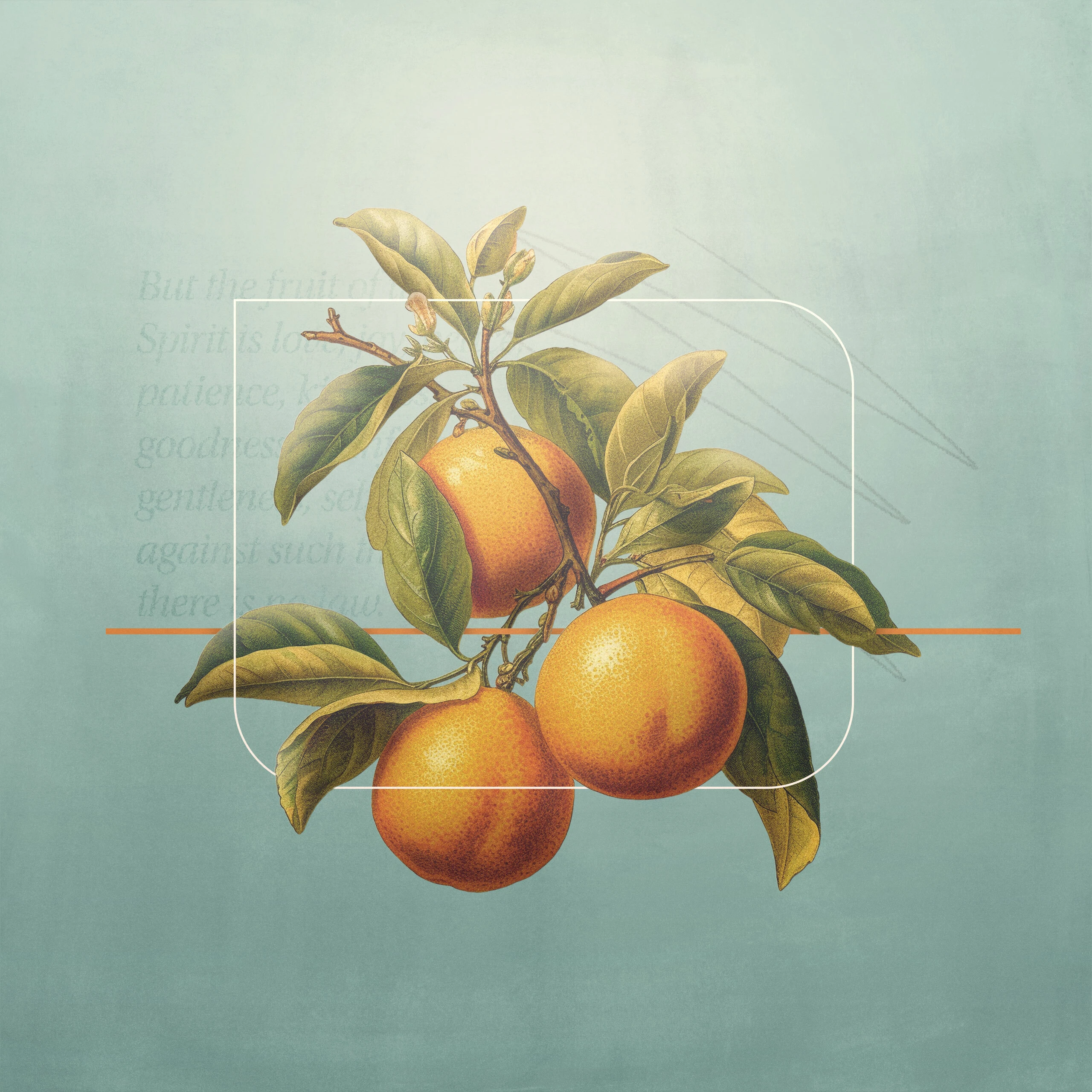 What Is the Fruit of the Spirit?