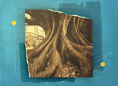 The Importance of Christian Doctrine