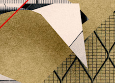 A Snare in Your Midst