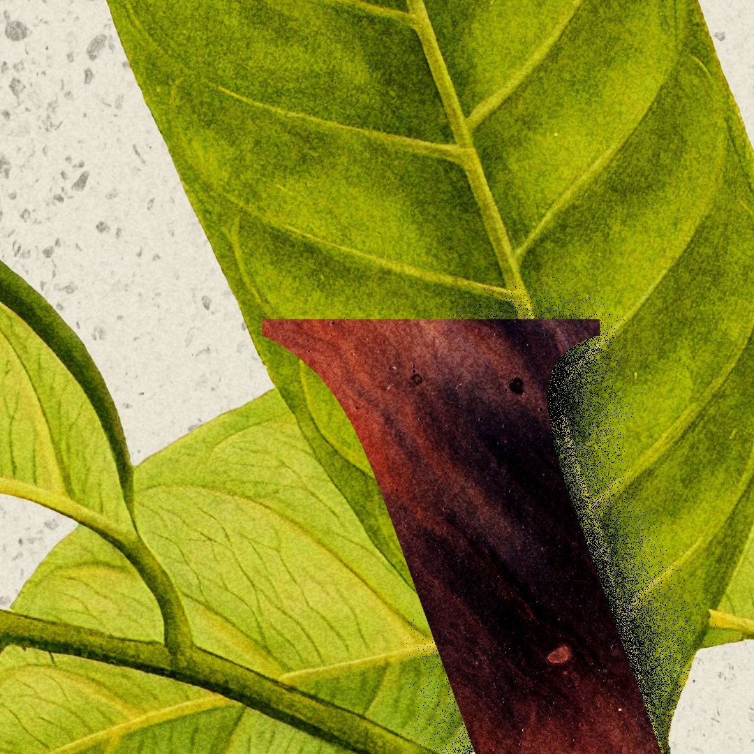 The Whole Christ by Sinclair Ferguson