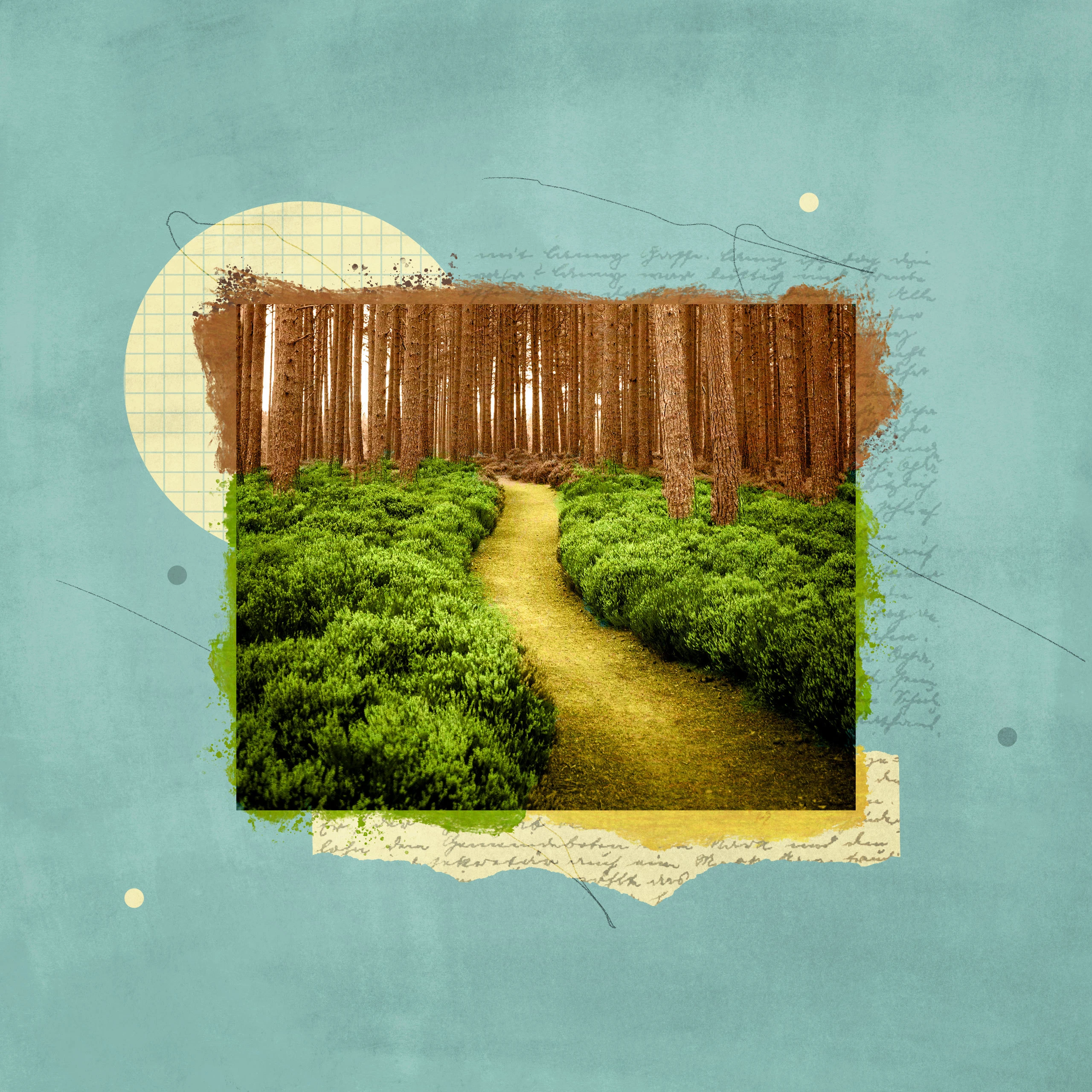 4 Recommended Resources on Knowing God’s Will