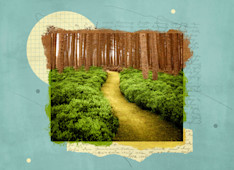 4 Recommended Resources on Knowing God’s Will