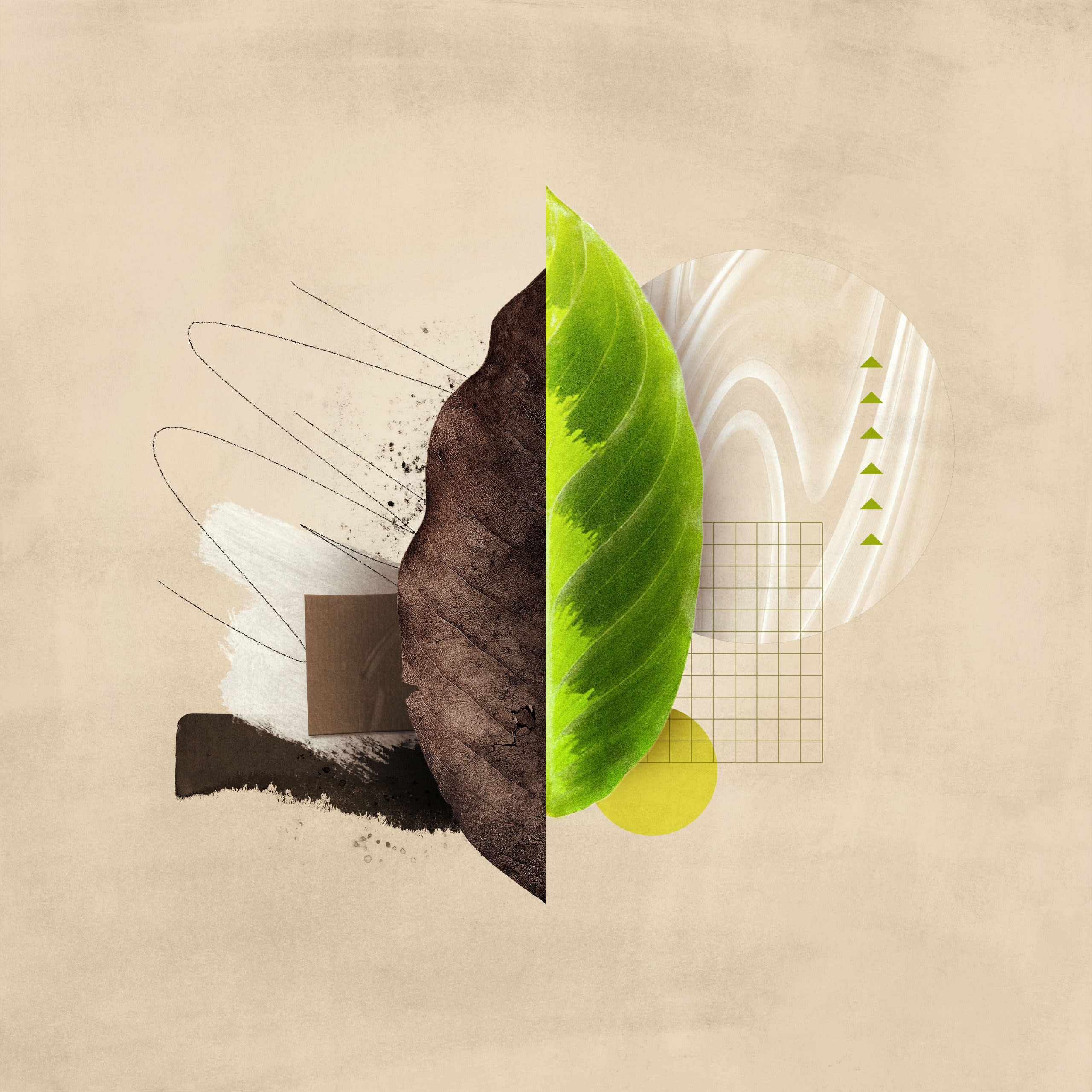 What Is the Intermediate State?