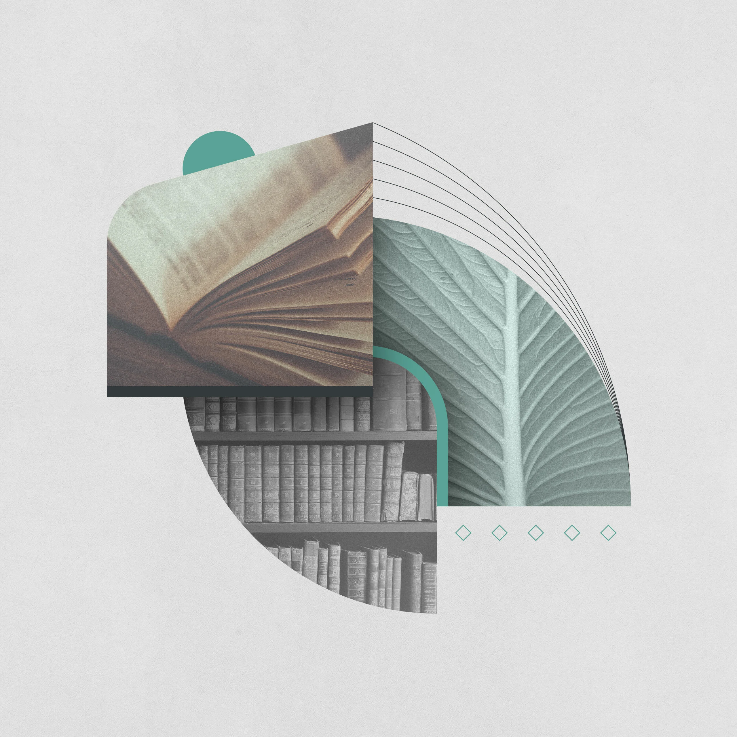 Recommended Reading