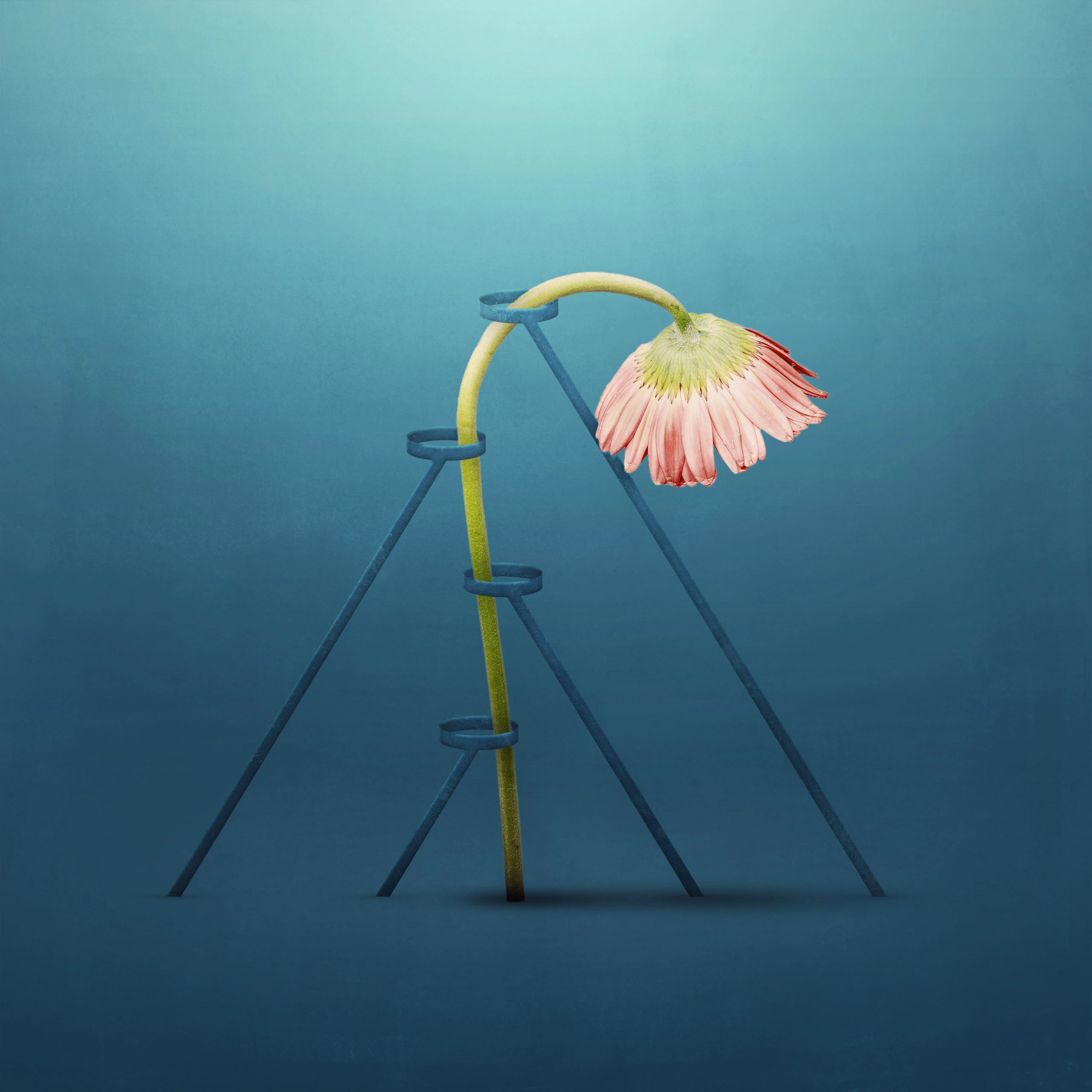 The Power of Prayer Meetings