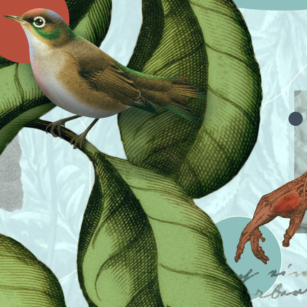 What Is God’s Blessing? by John Tweeddale