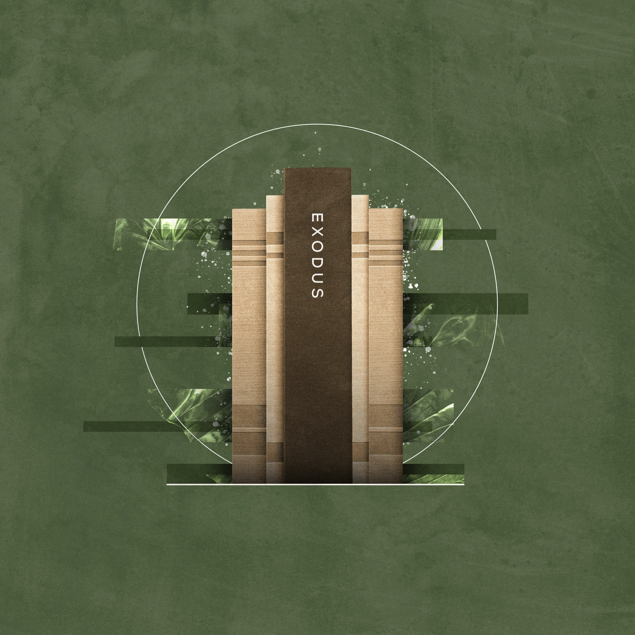 Top 5 Commentaries on the Book of Exodus