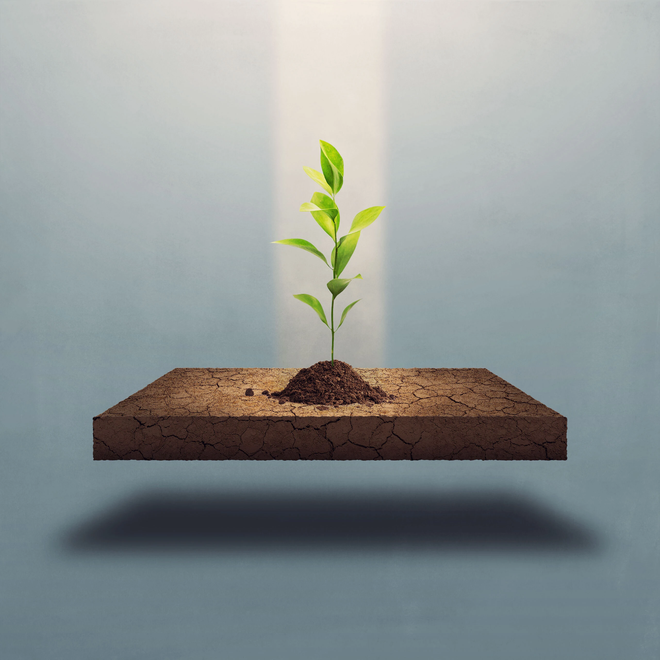 Take Heart: Finding Peace in a Troubled World