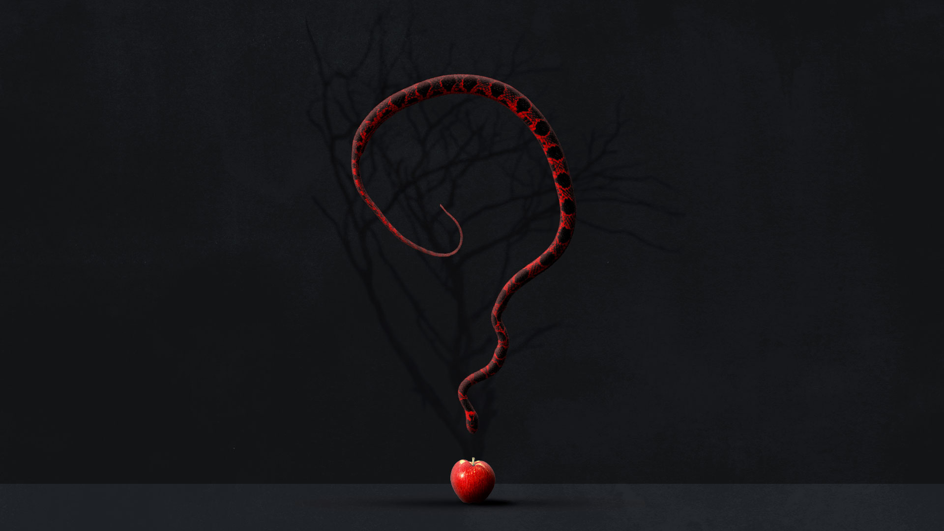 A person studying the Bible with pages open, reflecting on the definition of sin and holiness according to God's Word